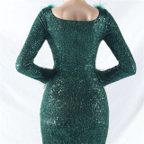 Women ostrich feather long-sleeved sequined evening dress