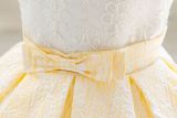 Girls Lace Cake Princess Dress