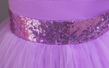 Girls Princess Dress Performance Dress