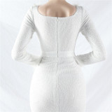 Women ostrich feather long-sleeved sequined evening dress