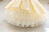 Girls Lace Cake Princess Dress