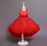 Girls Princess Dress Performance Dress