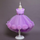 Girls Princess Dress Performance Dress