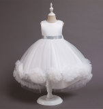 Girls Princess Dress Performance Dress