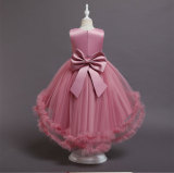 Girls Princess Dress Performance Dress