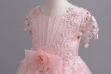 Flower Girl Wedding Dress Princess Dress Party Dress
