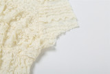 Summer Fashion Chic Sweet Solid Color Hollow Slim Pleated Two Piece Shorts Set For Women