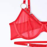Women's Valentine's See-Through Mesh Sexy 5-Piece Lingerie Set