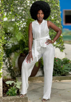 Fashionable Women's Sleeveless Pleated Casual Two Piece Pants Set Fashionable Women's Sleeveless Pleated Casual Two Piece Pants Set