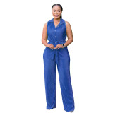 Fashionable Women's Sleeveless Pleated Casual Two Piece Pants Set