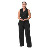 Fashionable Women's Sleeveless Pleated Casual Two Piece Pants Set