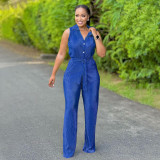Fashionable Women's Sleeveless Pleated Casual Two Piece Pants Set