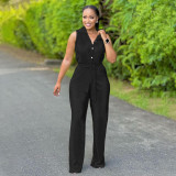 Fashionable Women's Sleeveless Pleated Casual Two Piece Pants Set
