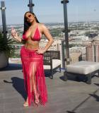 Women's Crochet Solid Color Bikini Top Tassel Beach Skirt Two Piece Set