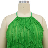 Summer Sexy Halter Neck Low Back Sleeveless Ruffle Women Two Piece Pants Set