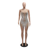 Sequin See-Through tassel sexy slim sleeveless Bodycon club dress