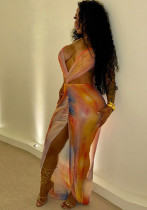 Summer Women's Sexy Halter Neck Low Back Print Mesh Long Dress Summer Women's Sexy Halter Neck Low Back Print Mesh Long Dress