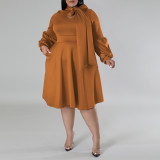 Plus Size Women's tied Neck Puff Long Sleeve A-line Dress