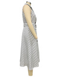 Spring Women's Fashion Chic Striped Sleeveless Turndown Collar A-Line Dress