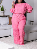 Plus Size Women Casual Loose Top and Pant Two-piece Set