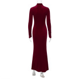 Women's Autumn Winter Fashion Chic Slim Solid Color High Collar Long Sleeve Dress