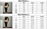 Women's Autumn Winter Fashion Chic Elegant Color Matching OL Bodycon Dress