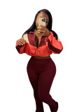 Sports Casual Women's Color Matching Crop High Waist Micro Bell Two-Piece Pants Set