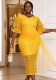 Fashion V-Neck Lace Dress Plus Size Formal Party Dress