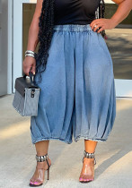 Women's Fashion Casual Elastic Waist Straight Wide Leg Denim Pants