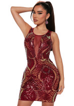 Women's Sleeveless Round Neck Sequin Bodycon Dress