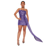 Fashion Women Strapless Streamer Sequins Bodycon Dress