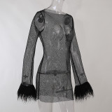 Furry Long Sleeve See-Through Mesh Fashion Trend Sexy Women's Nightclub  Dress