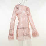Furry Long Sleeve See-Through Mesh Fashion Trend Sexy Women's Nightclub  Dress