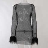 Furry Long Sleeve See-Through Mesh Fashion Trend Sexy Women's Nightclub  Dress