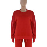 Women Solid long-sleeved Round Neck Top and wide-leg pants Two Piece Set