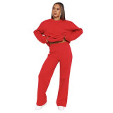 Women Solid long-sleeved Round Neck Top and wide-leg pants Two Piece Set
