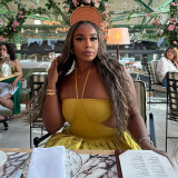 Women Autumn Halter Neck Strapless Backless Dress