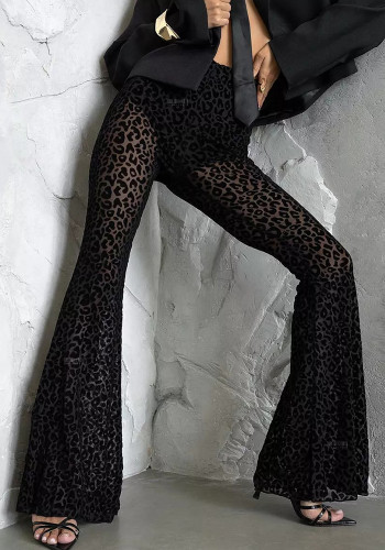 Women Sexy MeshCasual Pants