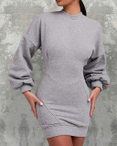 Women Line Design Lantern Sleeve Dress