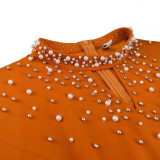 Women's Fashion High Neck A-Line Elegant Beaded Dress