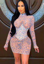 Summer See-Through Mesh Dress Women High Collar Print Long Sleeve Tight Fitting Bodycon Dress Summer See-Through Mesh Dress Women High Collar Print Long Sleeve Tight Fitting Bodycon Dress