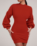 Women Line Design Lantern Sleeve Dress