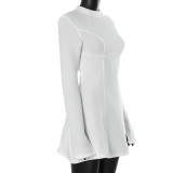 Women Solid Round Neck Long Sleeve Dress