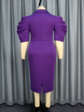 Chic Turndown Collar Solid Color High Waist  Plus Size Party Dress