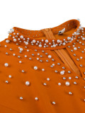 Women's Fashion High Neck A-Line Elegant Beaded Dress