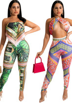 Sexy Fashion Printing Sexy Two-Piece Pants Set