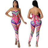 Sexy Fashion Printing Sexy Two-Piece Pants Set