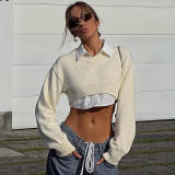 Women's Short Knitting Top Y2K Pullover V-Neck Crop Long Sleeve Top
