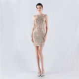 Women Tassel Sequin Halter Neck Beaded Evening Dress