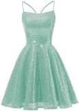 Sequined Evening Dress Strap A-Line Party Dress For Women（Processing time need 3-6 days）